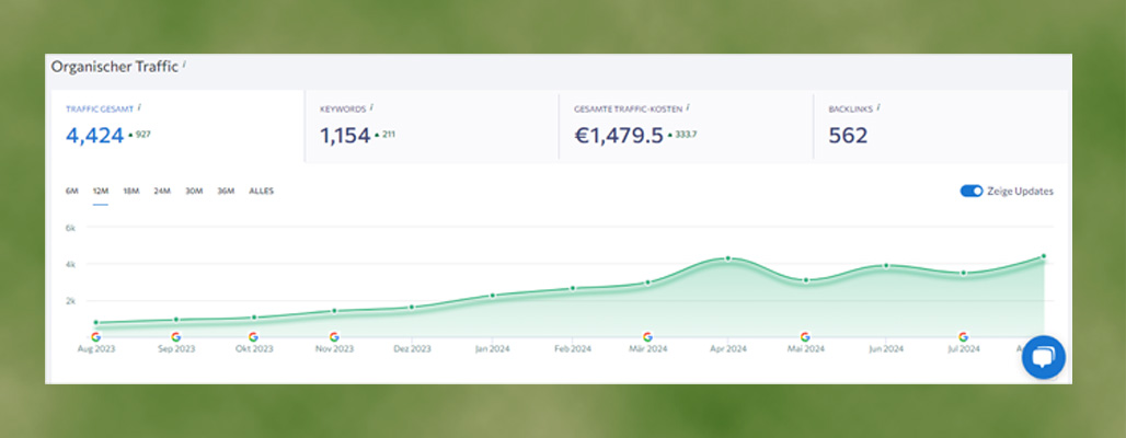 Traffic- Steigerung für Homepage Stand August 2025